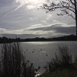 Meet your Posher, Alison